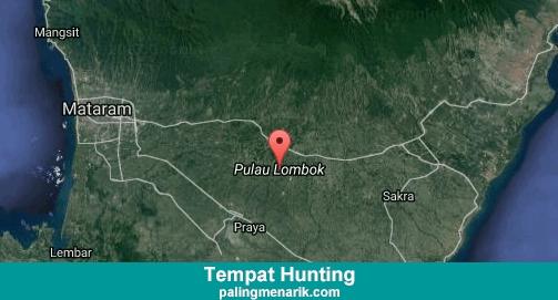 Daftar Tempat Hunting di Lombok