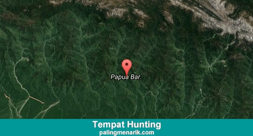 Daftar Tempat Hunting di Papua