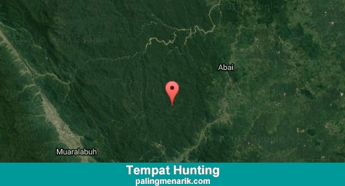 Daftar Tempat Hunting di Solok Selatan