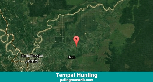 Daftar Tempat Hunting di Muaro Jambi