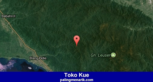 Daftar Toko Kue di Aceh barat daya