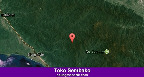 Daftar Toko Sembako di Aceh barat daya