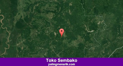 Daftar Toko Sembako di Barito timur