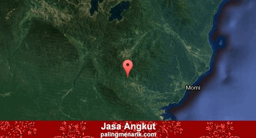 Jasa Angkut di Manokwari Selatan