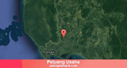 Peluang Usaha Rumahan di Aceh Singkil