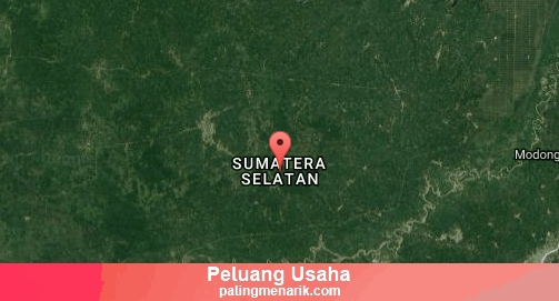 Peluang Usaha Yang Jarang Rugi di Sumatera Selatan