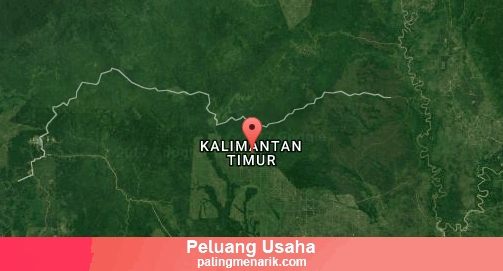 Peluang Usaha Dengan Modal Kecil di Kalimantan Timur