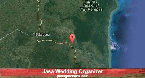 Jasa Wedding Organizer di Lampung Timur