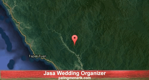 Jasa Wedding Organizer di Aceh Selatan