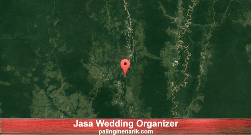Jasa Wedding Organizer di Kapuas