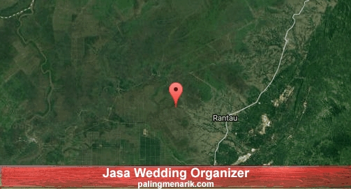 Jasa Wedding Organizer di Tapin