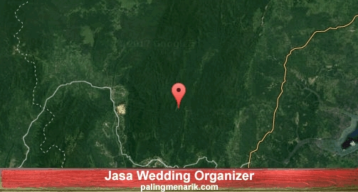 Jasa Wedding Organizer di Paser