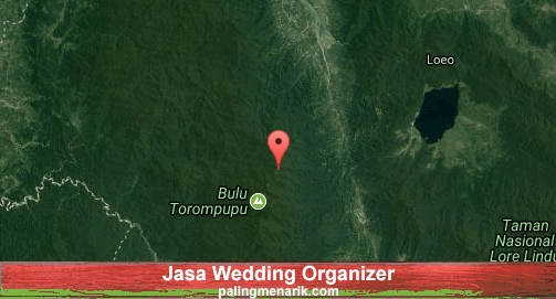 Jasa Wedding Organizer di Sigi