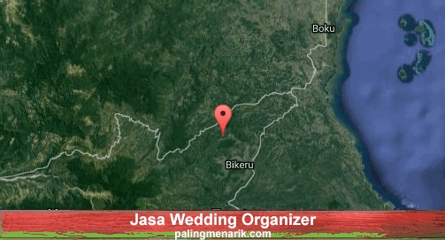 Jasa Wedding Organizer di Sinjai