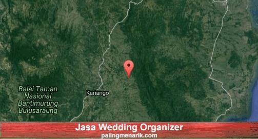 Jasa Wedding Organizer di Bone
