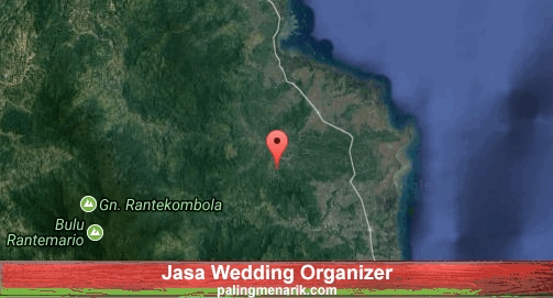 Jasa Wedding Organizer di Luwu