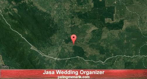 Jasa Wedding Organizer di Padang Lawas