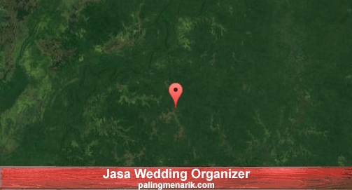 Jasa Wedding Organizer di Mappi