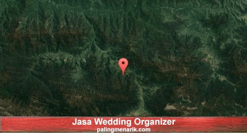 Jasa Wedding Organizer di Puncak