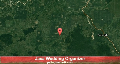 Jasa Wedding Organizer di Indragiri Hulu