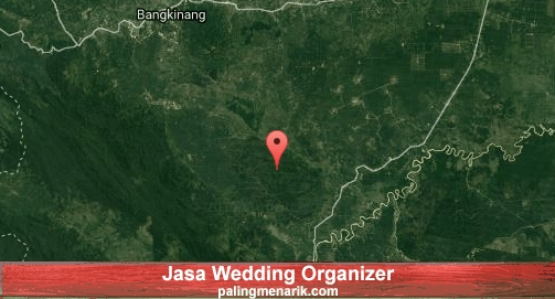 Jasa Wedding Organizer di Kampar