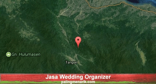Jasa Wedding Organizer di Pidie